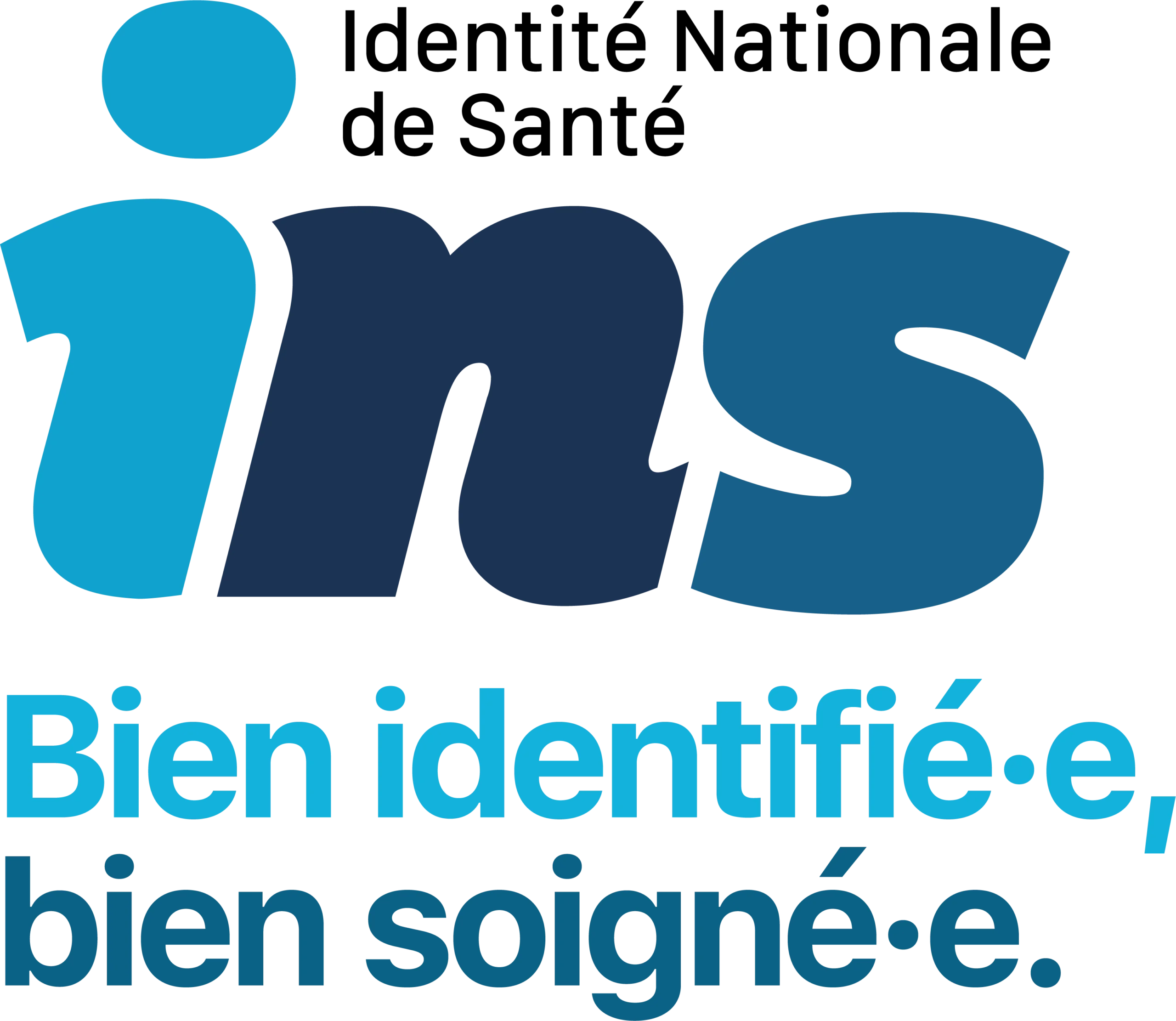 logo INS